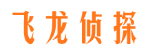 宾县市侦探调查公司